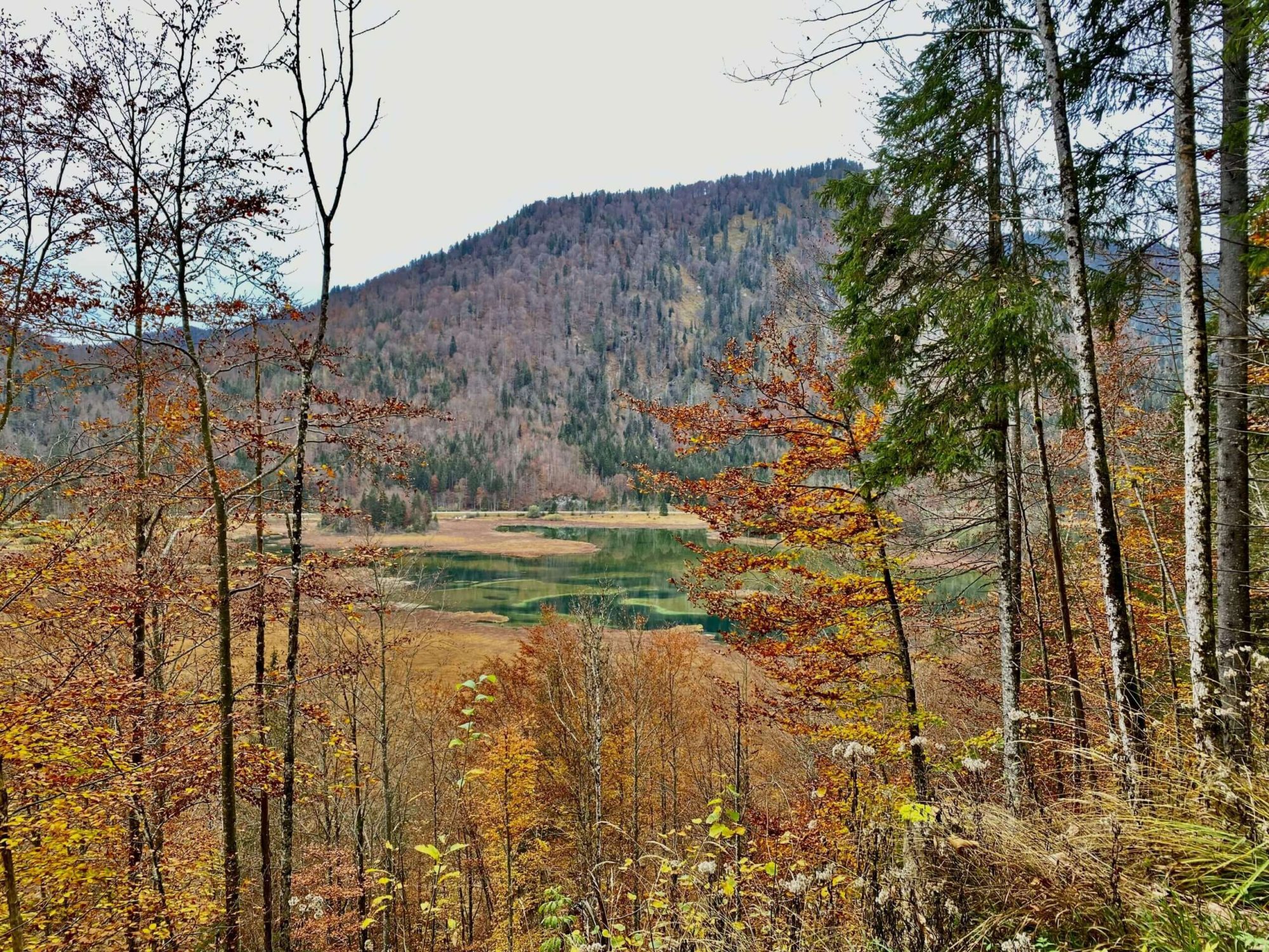 inzell-duitsland-schaatsen-fietsen