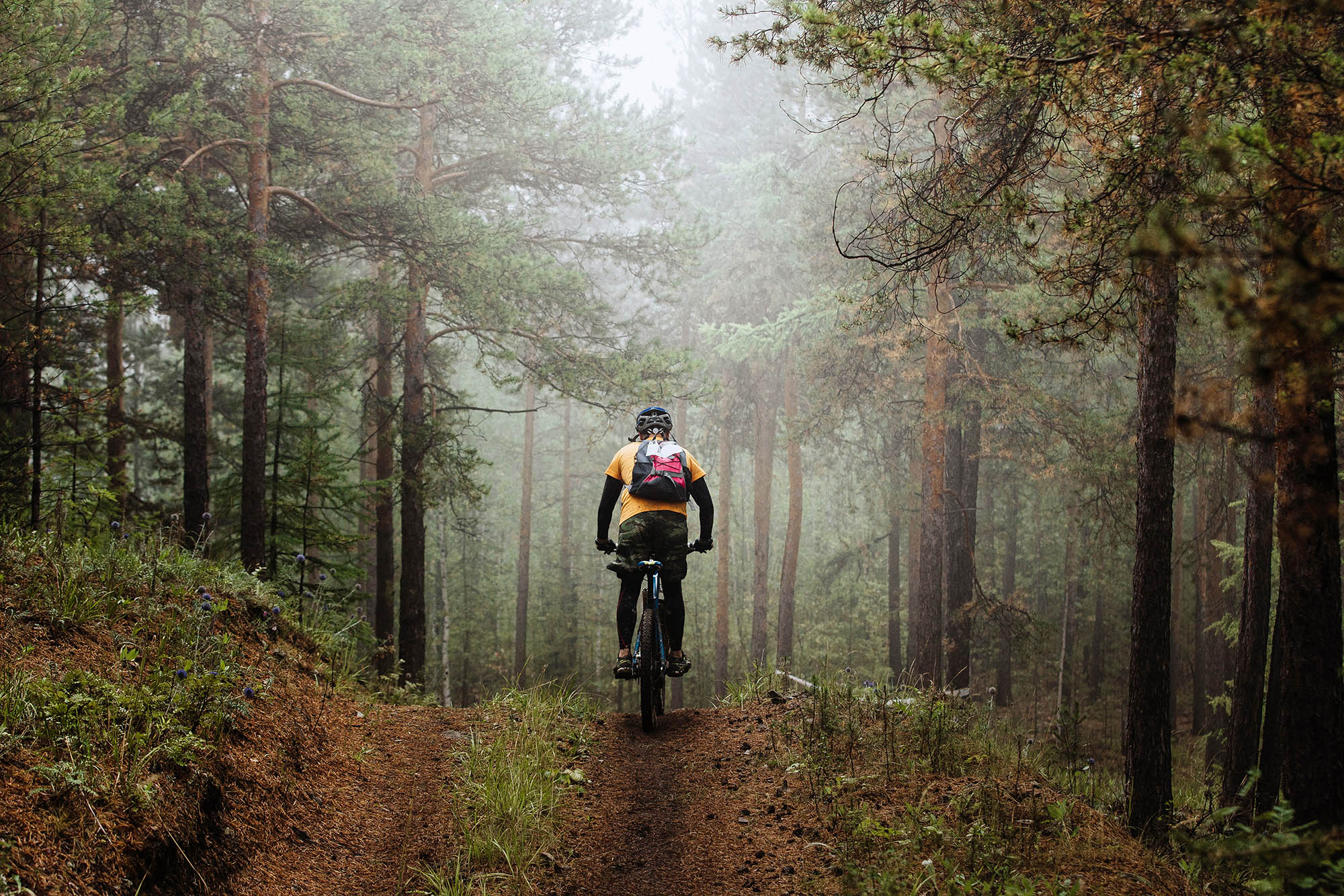 mountainbiker-bos-herfst-fietsen